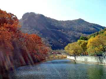 新澳天天开奖资料大全旅游团，济南企业黄页